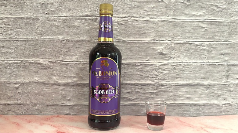 Bottle and shot glass of Mr. Boston sloe gin on pink table