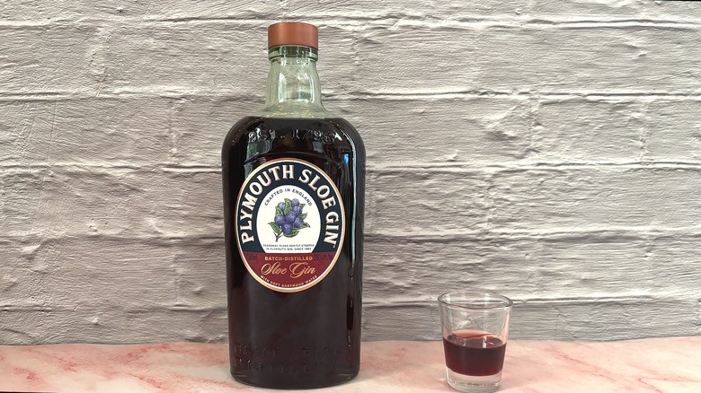 Bottle and shot glass of Plymouth Gin sloe gin on pink table