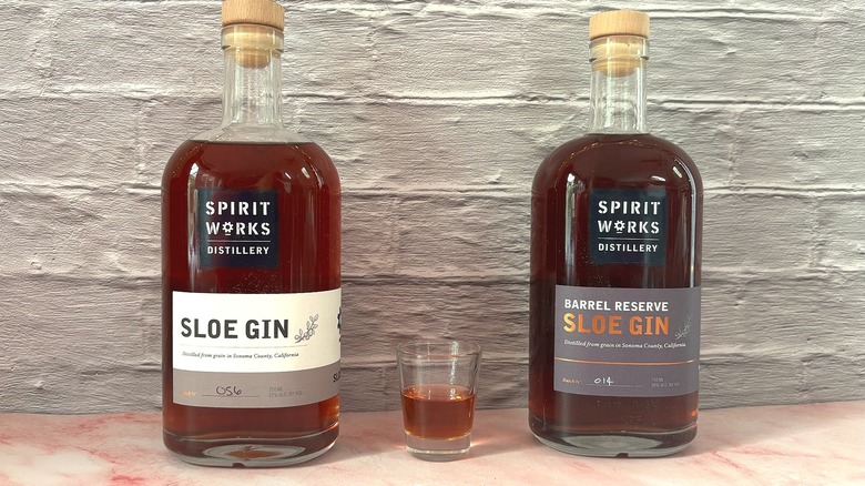 Bottles and shot glass of Spirit Works sloe gin on pink table