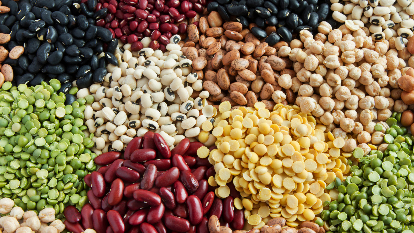 The 5 Most Nutrient-Packed Beans To Add To Your Diet - Tasting Table