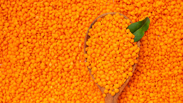 spoonful of dried red lentils