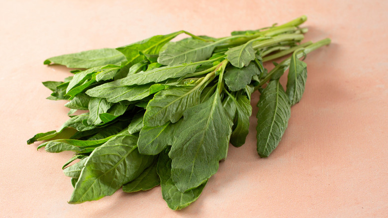 A bunch of fresh epazote