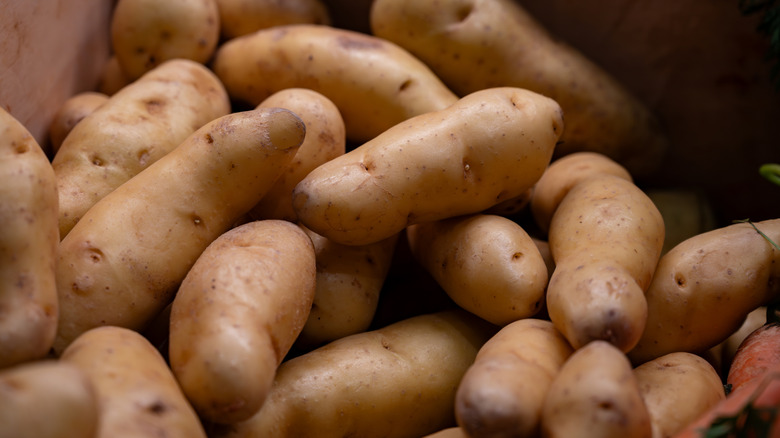 several la ratte potatoes