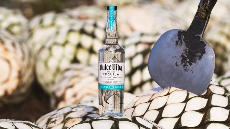 Dulce Vida Organic Blanco Tequila on a stack of pinas