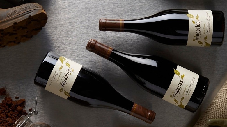 Three bottles of Winderlea red wine on the ground