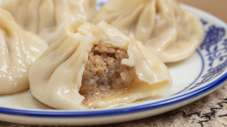 pork soup dumpling on plate with bite taken out