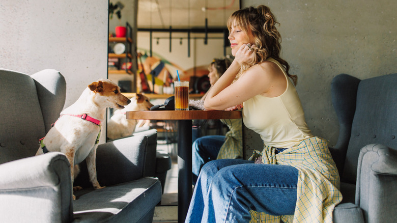 a woman and a dog sitting in a cafe