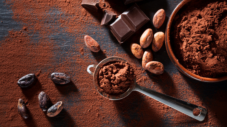 Cocoa powder and other chocolate forms