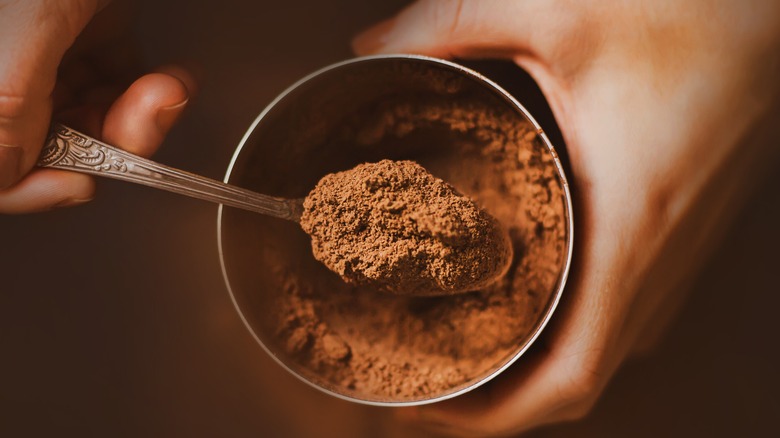 Spoon of cocoa powder