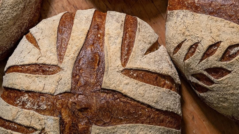 closeup of round loaves from Bread Artisan Bakery