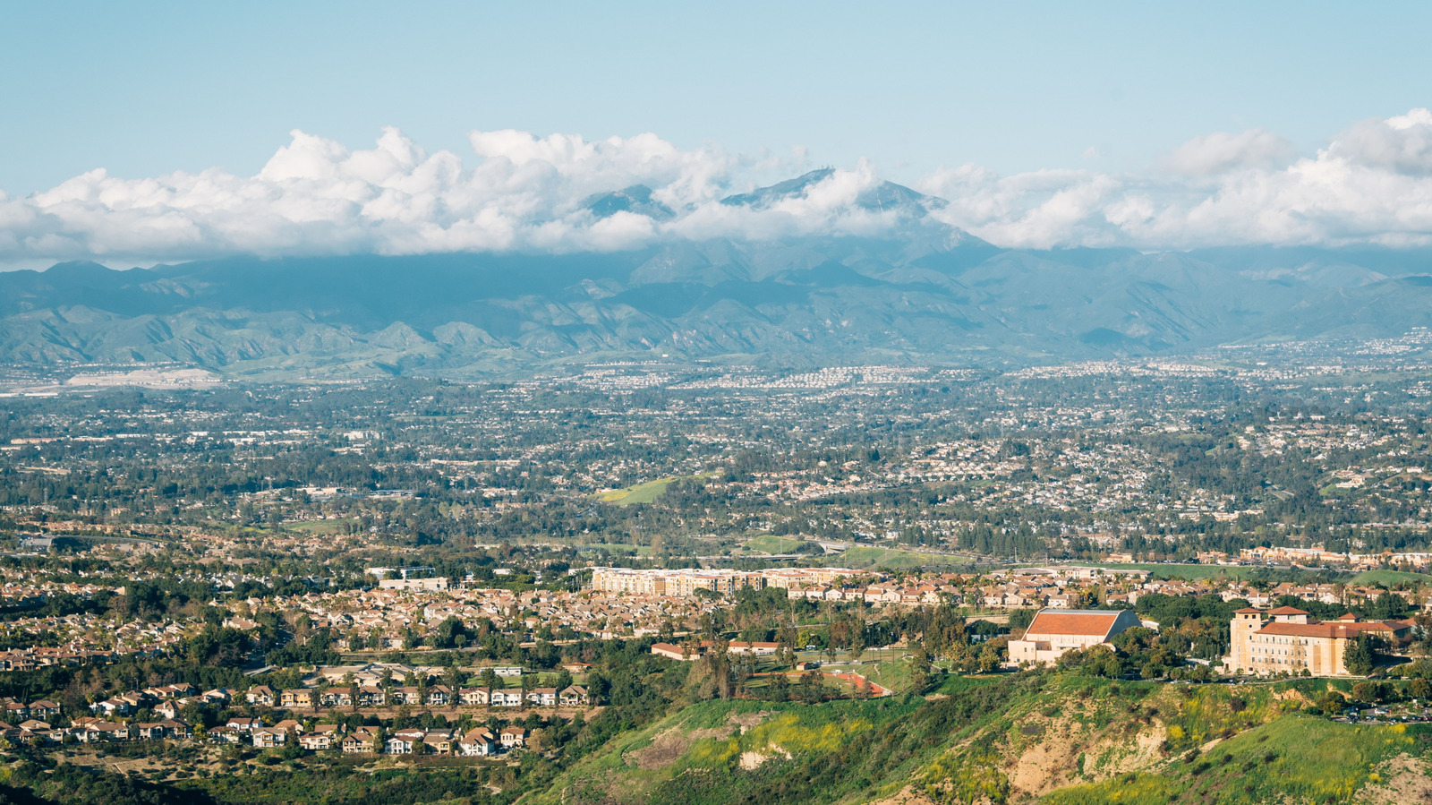 The 9 Best Bakeries In Orange County, California - Tasting Table