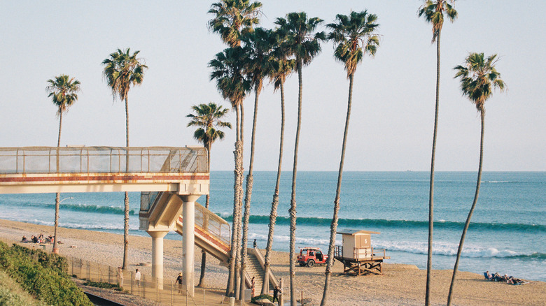 Orange County beach with palm trees