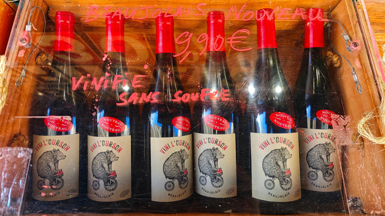 The 9 Best Red Wines For Every Type Of Drinker