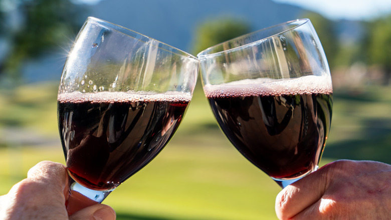The 9 Best Red Wines For Every Type Of Drinker