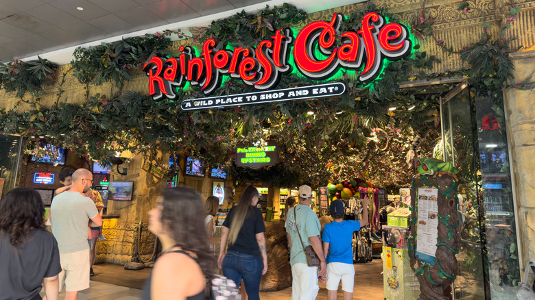 Outside of Rainforest Cafe