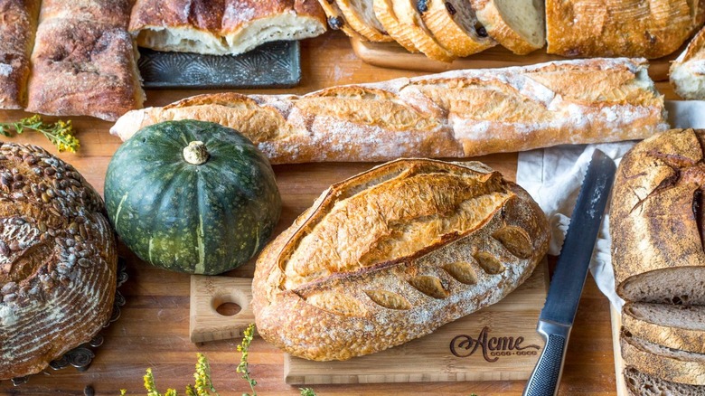 Selection of freshly baked breads on wooden counter with green squash