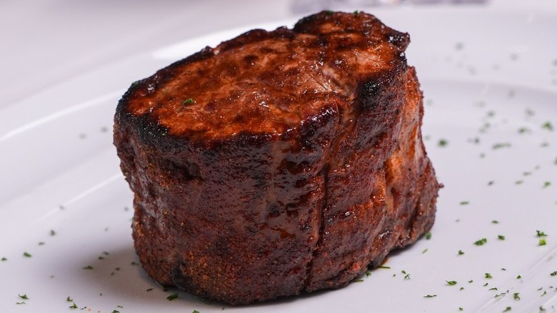 Cooked filet alone on a white plate that's been sprinkled with garnish