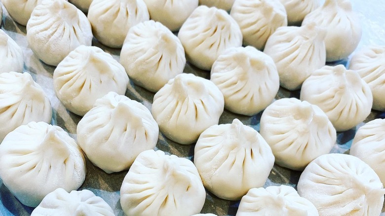 Rows of raw dumplings