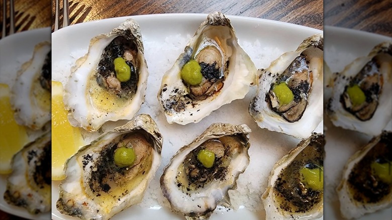 Oysters on the half shell at The Grey in Georgia