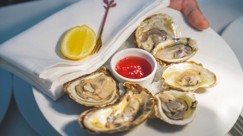Oysters on plate with ice and lemon wedge