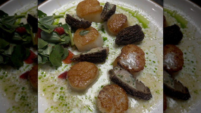 Morels with scallops in sauce with greens