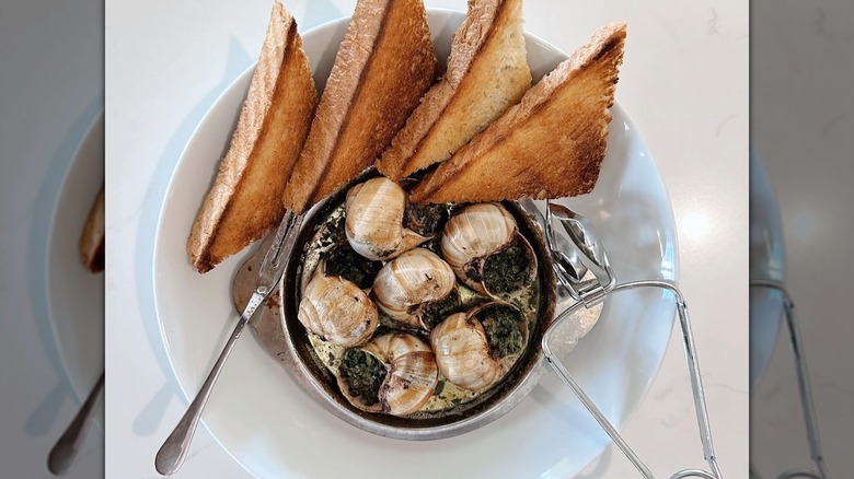 Escargot on plate with triangles of toast