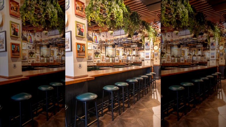 Wood bar with green stools, hanging plants, and walls covered with photos
