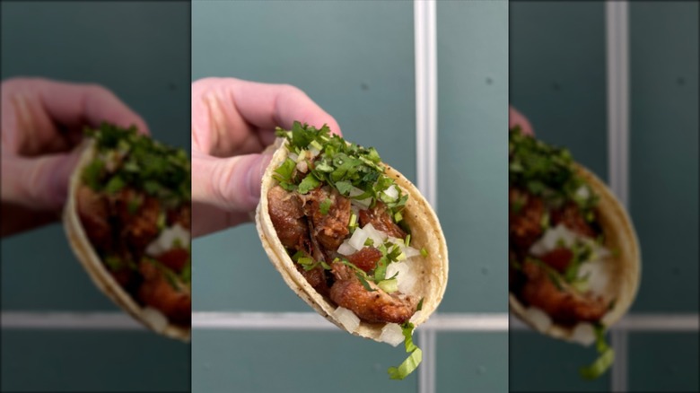 Hand holding street taco with cilantro