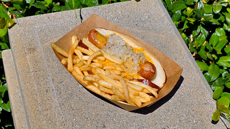 Oktoberfest Dog in a tray with french fries