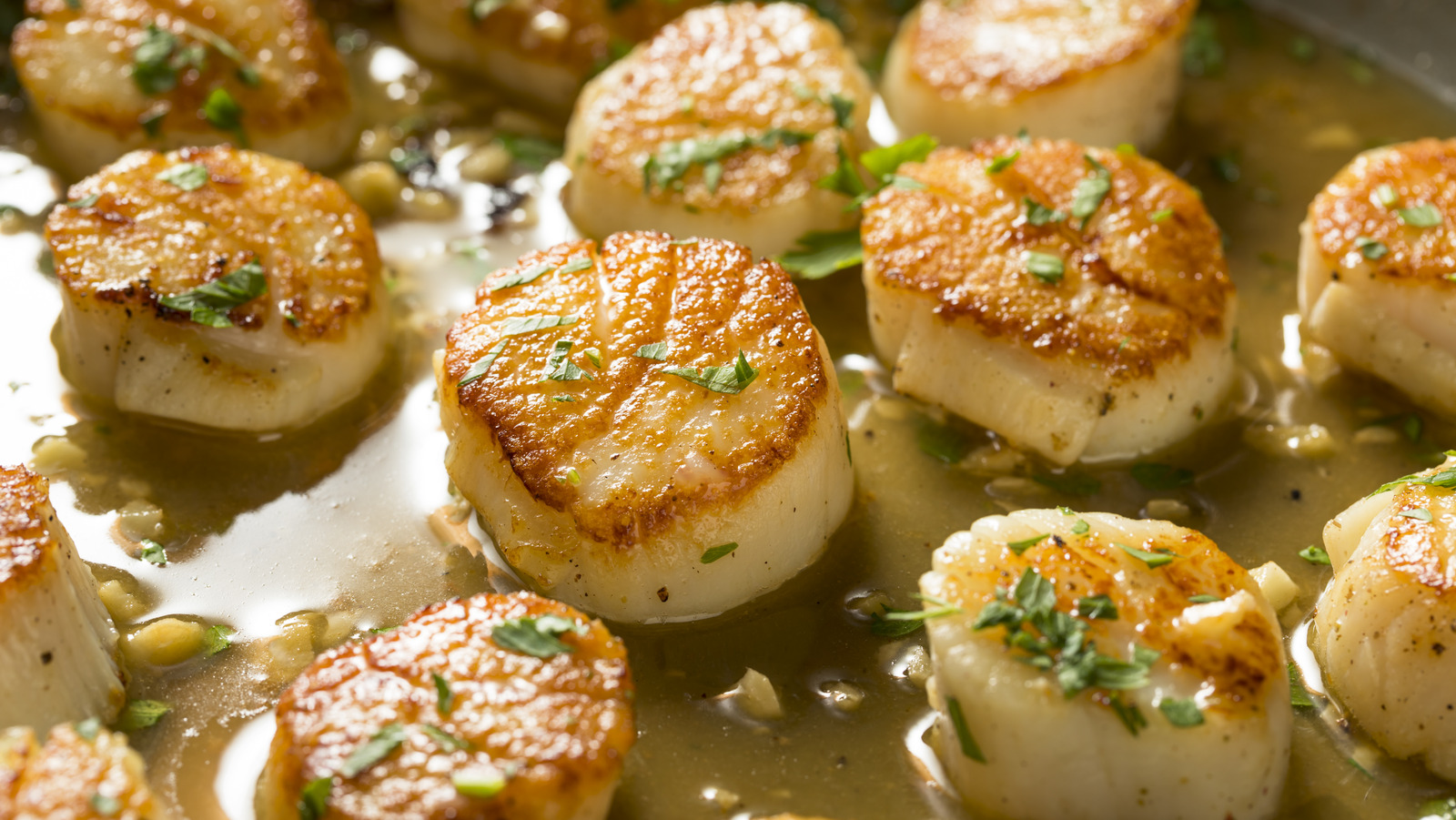 The Absolute Best Type Of Scallops To Broil