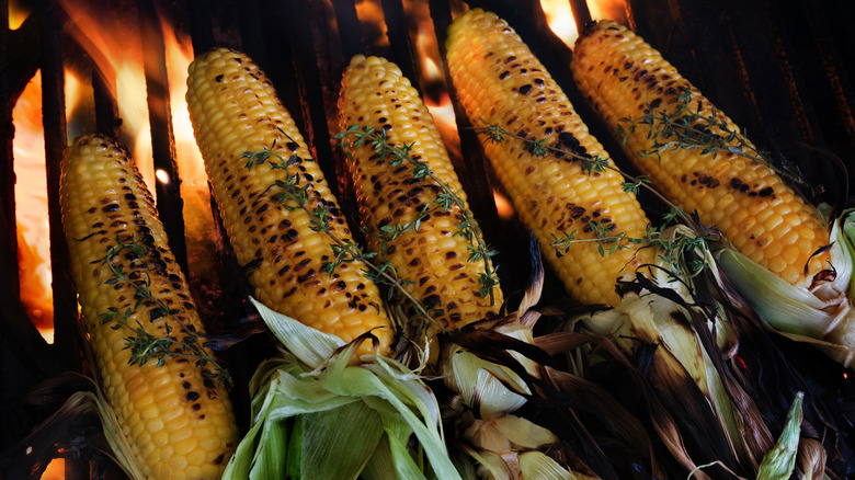 Ears of corn roasting on a charcoal grill