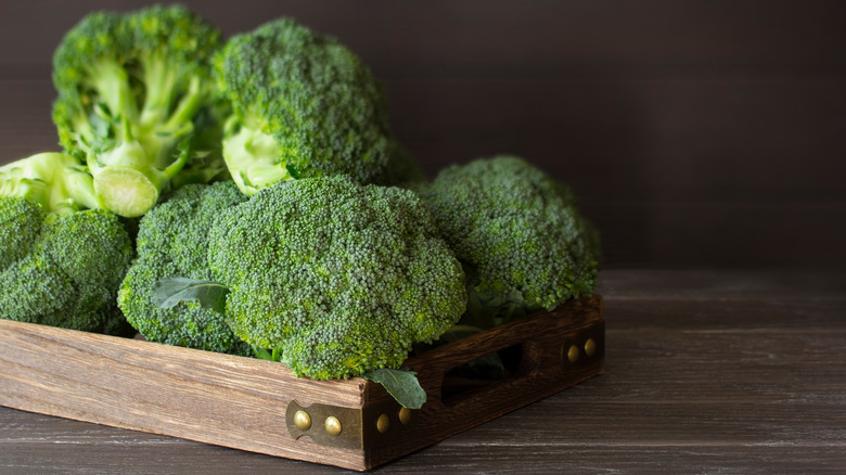 fresh broccoli 