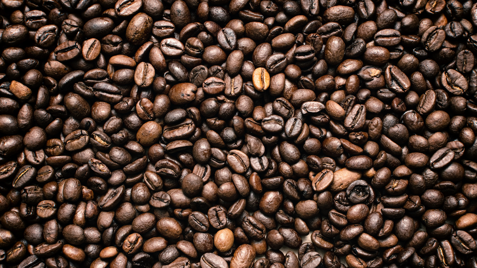 https://www.tastingtable.com/img/gallery/the-absolute-best-ways-to-keep-coffee-beans-fresh/l-intro-1647867653.jpg