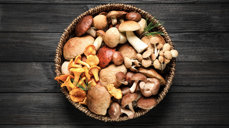 Basket with different mushrooms