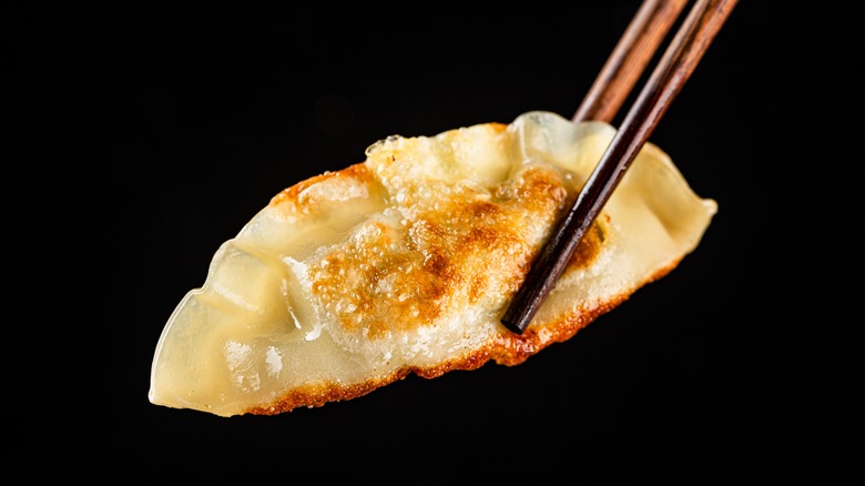 Fried dumpling held by chopsticks 