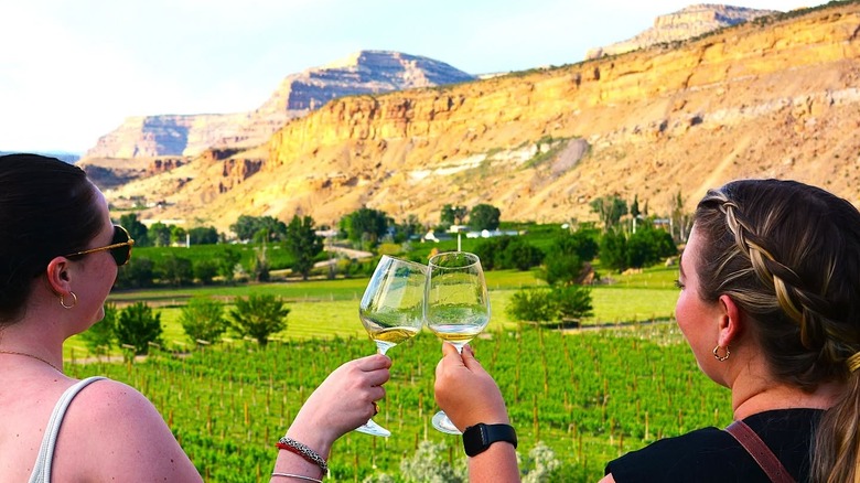 Two women clinking wine glasses overlooking vineyards, with the Flatirons in the distance.