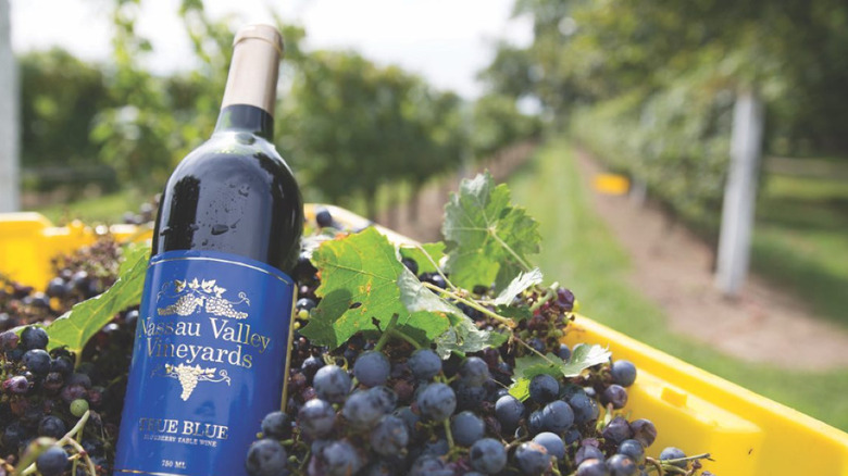 Bottle of Nassau Valley Vineyards wine among grape clusters in a wheelbarrow, with vineyard in the background.