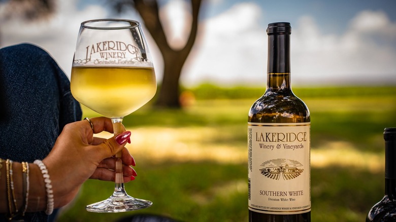 Manicured hand holding a wine glass next to a bottle of Lakeridge Winery wine, with the vineyard in the background.