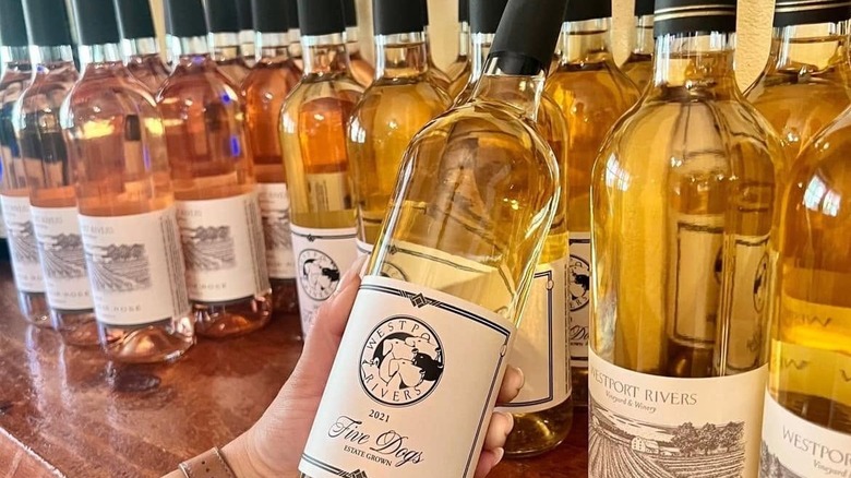 Bottles of white and rosé wines from Westport Rivers on a table, with a bottle of Five Dogs white in a person's hand.