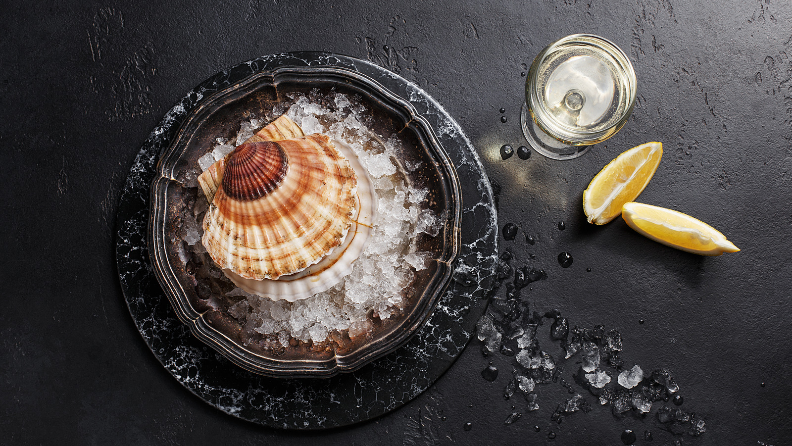 The Absolute Best Wines To Pair With Scallops