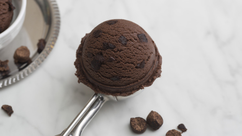 scoop of chocolate ice cream with chocolate pieces