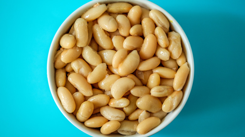 Bowl of cooked cannellini beans on blue background