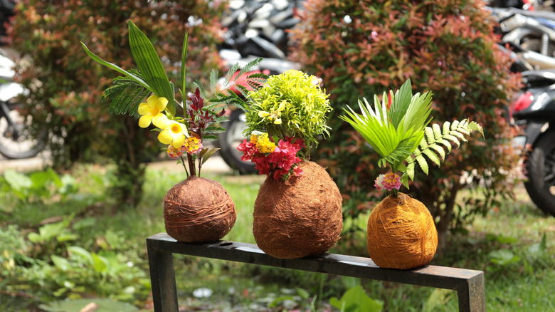 kokedama floral and greenery art