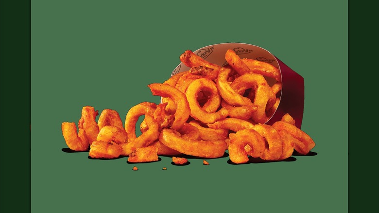 Professional photo of Arby's signature Curly Fries