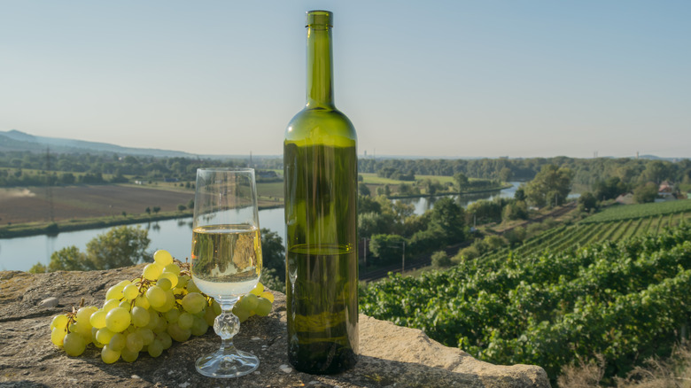 Bottle of Gruner on the Danube