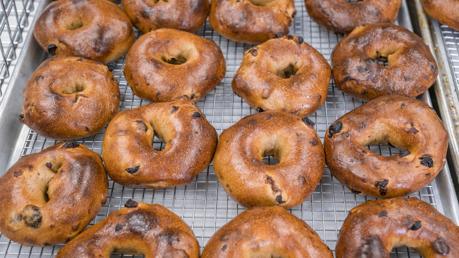 The Bakery Chain With The Best Cinnamon Raisin Bagels Starts With Sourdough - Tasting Table