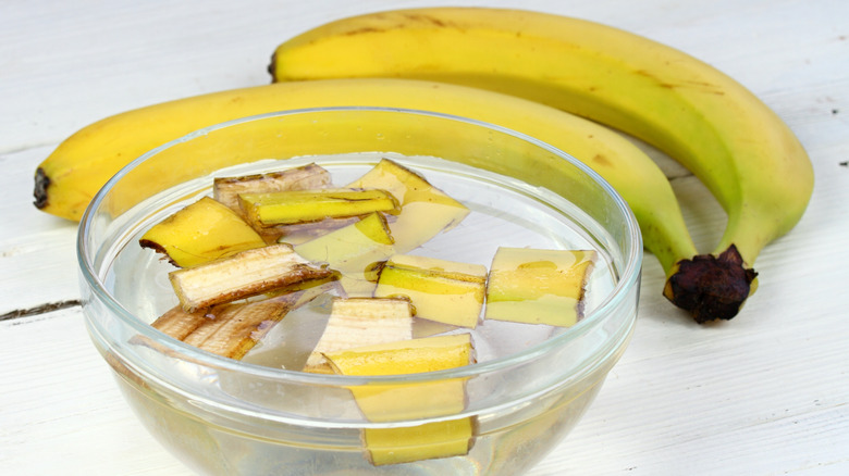 a glass bowl of water with chopped banana peels in in and whole bananas on the table behind it