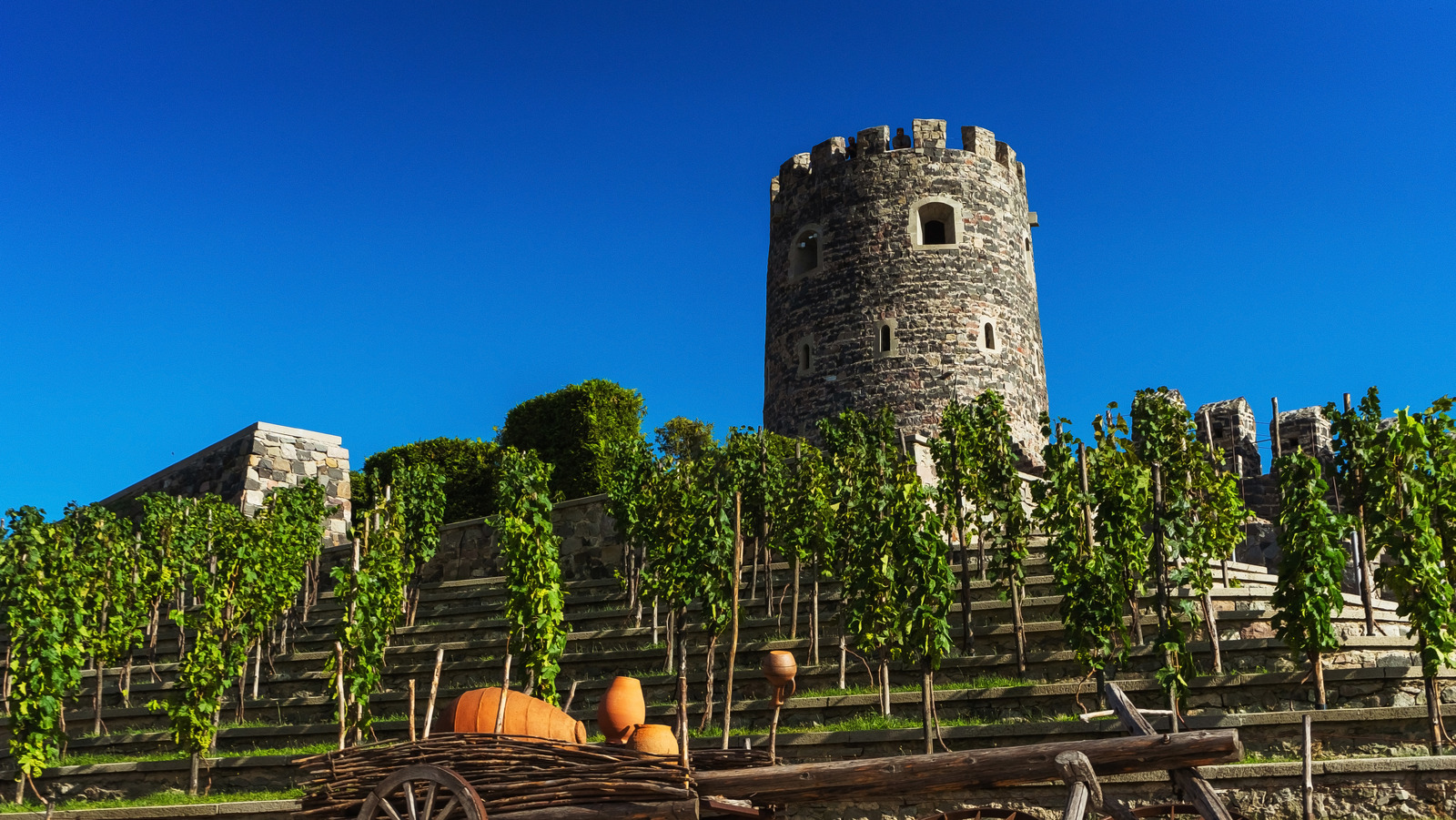 The Beginner's Guide To Wines