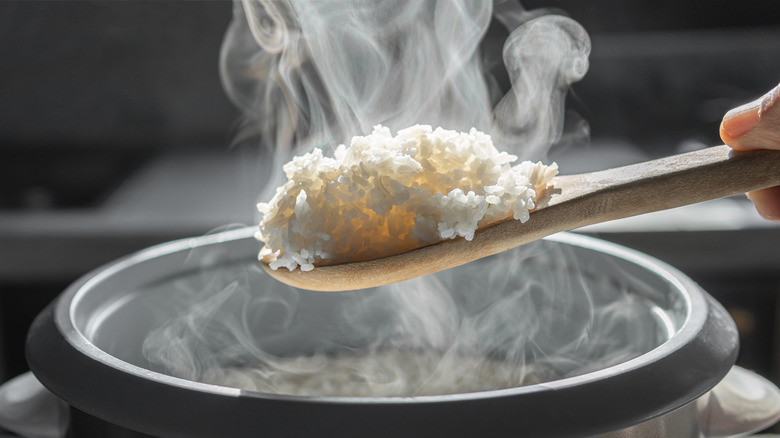 steaming rice on wooden spoon