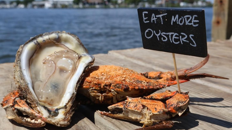 Oysters and crab on dock with sign saying "Eat more Oysters"